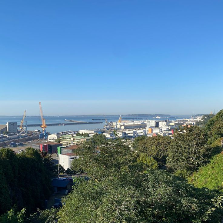 Viewpoint