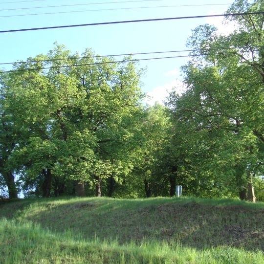 Lipové stromořadí v Rosicích