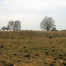 Burgwall Hühnerwinkel