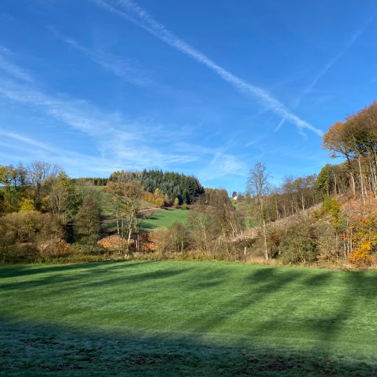 NSG Oberlauf der Großen Dhuenn < LP Hueckeswagen>