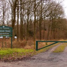 Bosque Bernwood