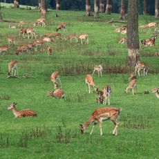 Naturwildpark Granat