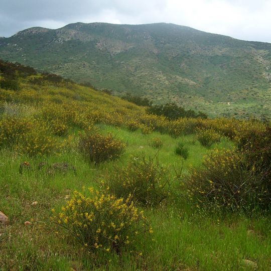 Mission Trails Regional Park