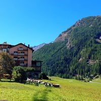 Cogne