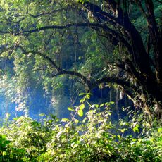 Parc national du Mont Elgon