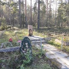 Братская могила советских воинов, погибших в боях за Родину (Питкярантское г.п.)