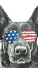 K9 Mattis
