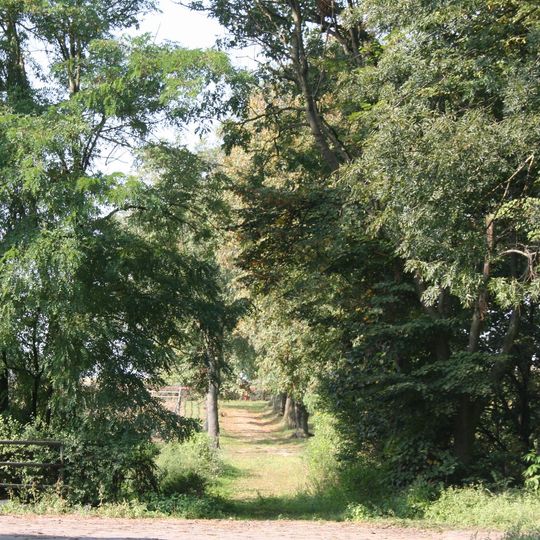 Manor park in Szarnoś