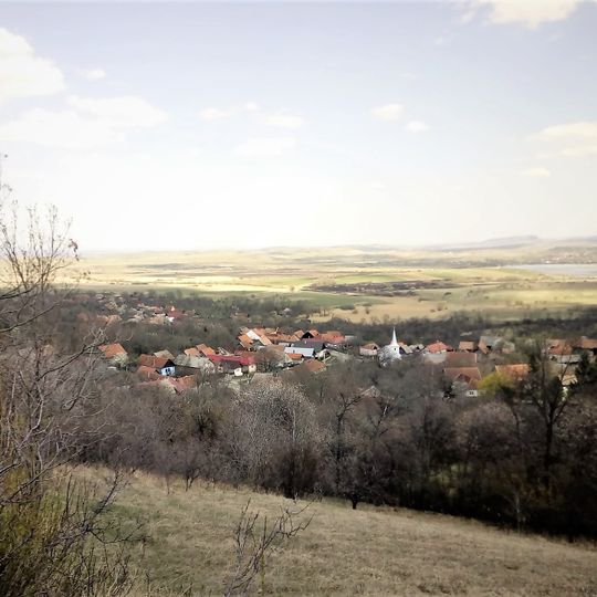 Alunișu