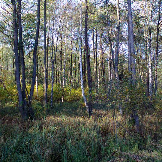 Rezerwat przyrody Kanistan