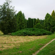 Dubrava arboretum