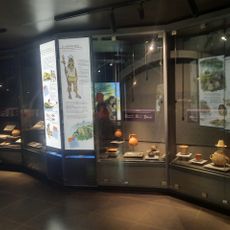 Museo Arqueológico y Antropológico de Casablanca