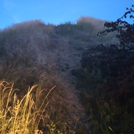 Burial ground in Brovarky