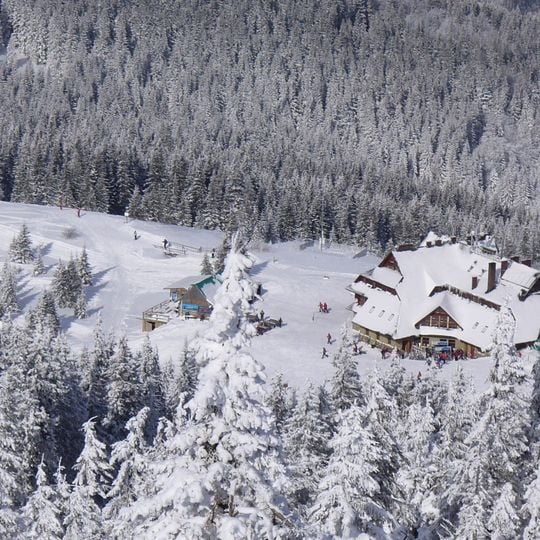 Miziowa Hostel
