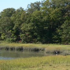 Bare Cove Park
