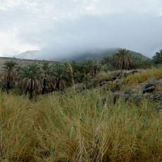 نخلستان خفرویه