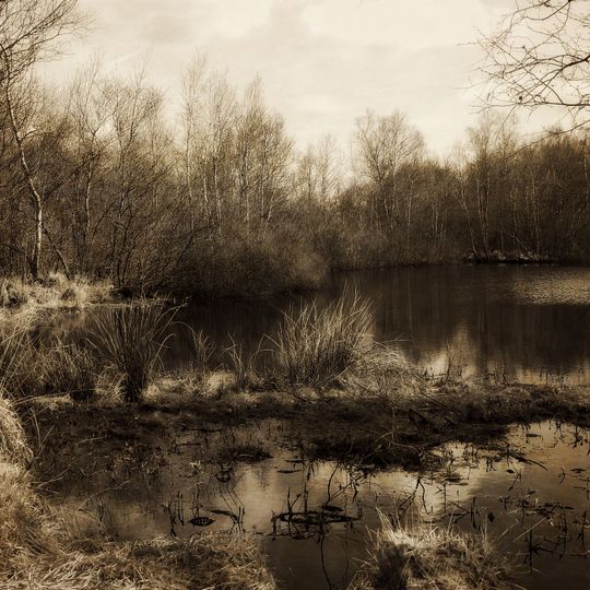 Ipweger Moor, Gellener Torfmöörte