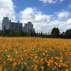 Sangdong Lake Park
