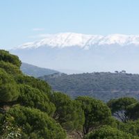 Gouvernement Süd-Libanon