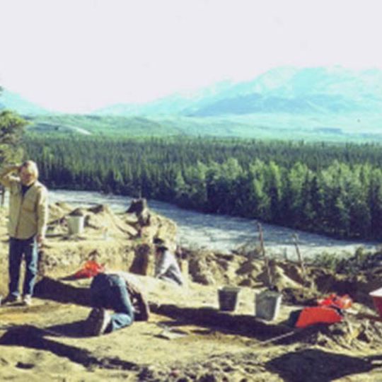 Dry Creek Archeological Site