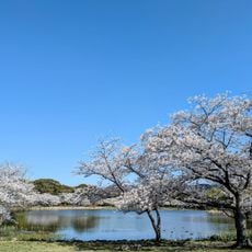 Iwata Sports Park