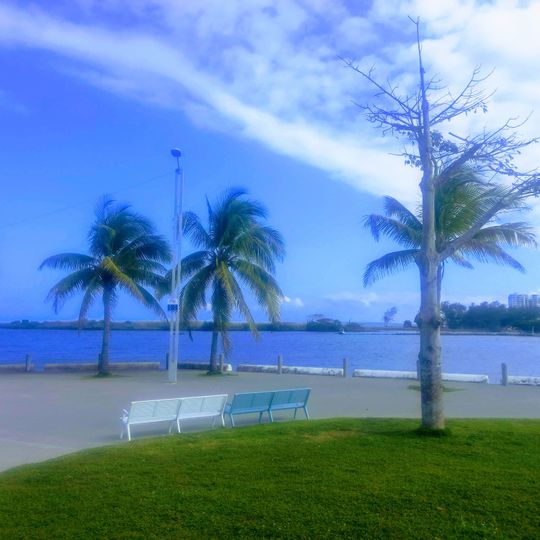 Boca del Rio