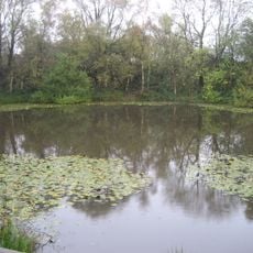 Pool of Peace