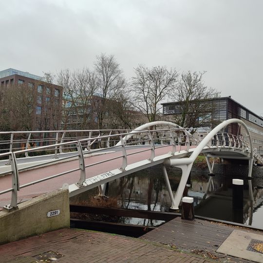 Brug 2291, Jan Swammerdambrug