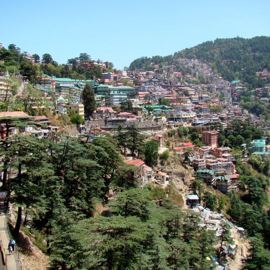 Shimla