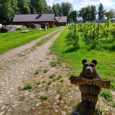Przełazy 80