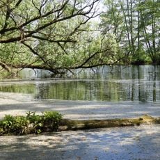Werraaltarm und Werraaue bei Albungen