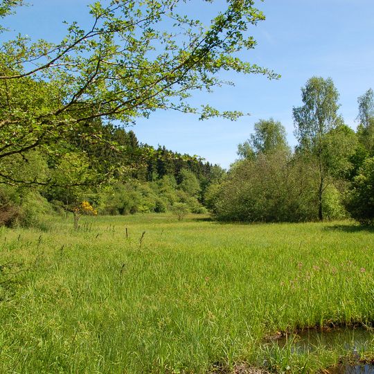 Réserve naturelle domaniale de Marie Mouchon