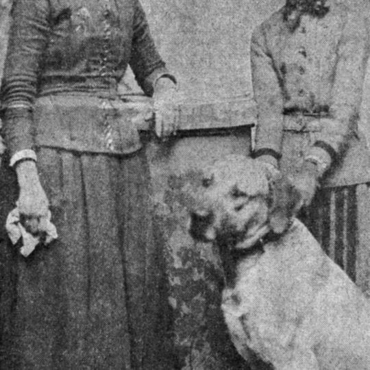 Humane League of Lancaster County