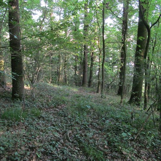 Wald nördlich Niederkaufungen