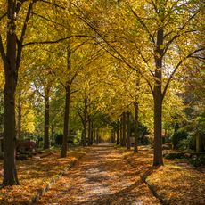 Hauptfriedhof Heilbronn
