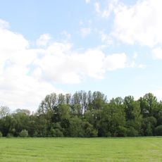 Altwasser der Tauber und Muschelkalkaufschluss östl. Markelsheim Kitzle