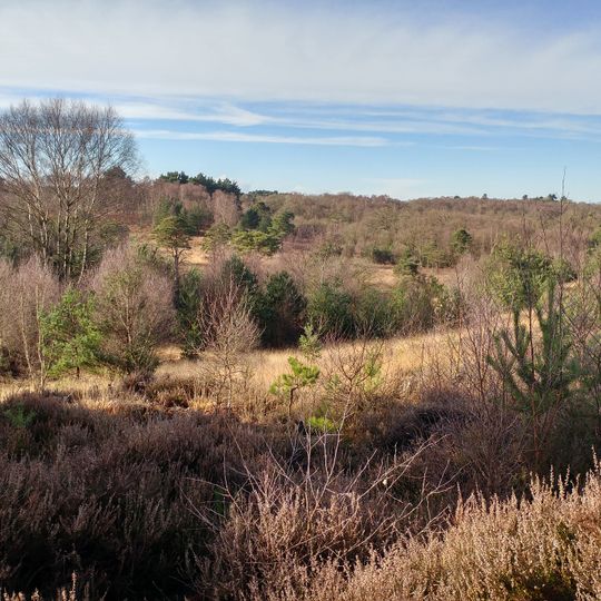 Castle Bottom NNR