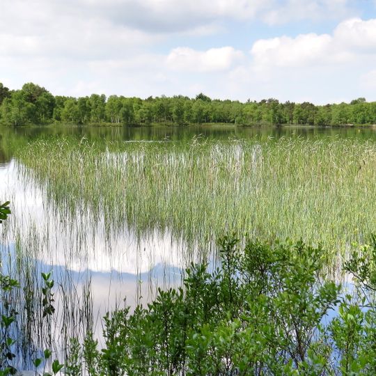Silbersee, Laaschmoor, Bülter See, Bülter Moor