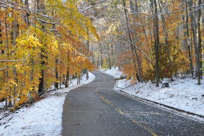 Winter 0