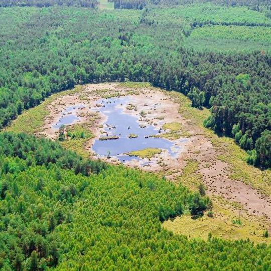 Rezerwat przyrody Moczydło