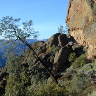 Juniper Canyon Trail