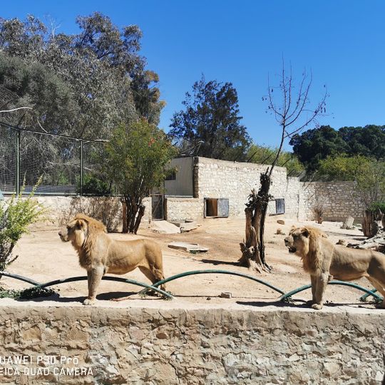 حديقة الحيوانات بتونس