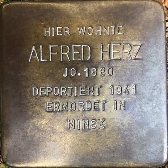 Stolperstein dedicated to Alfred Herz