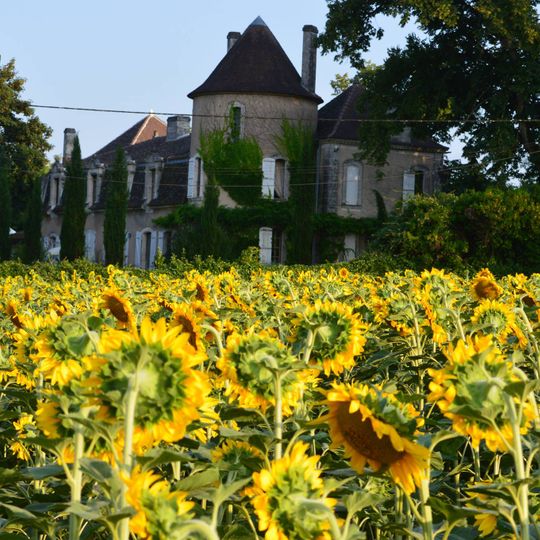 Château des Étoiles