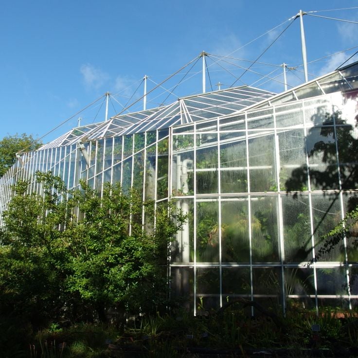 Hortus Botanicus Amsterdam