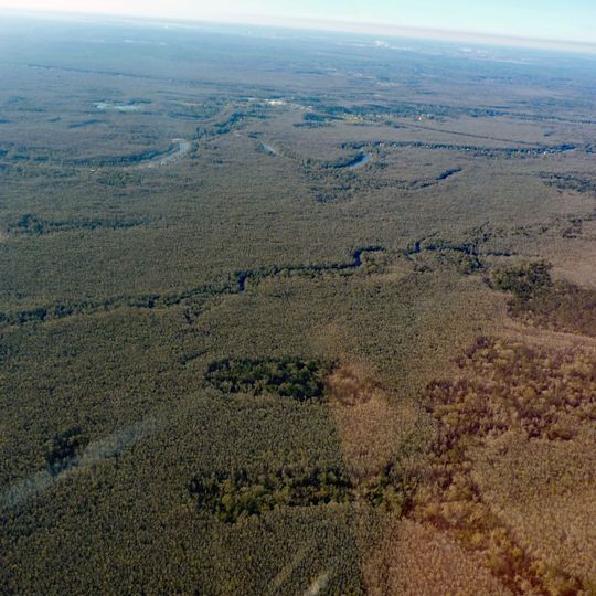 Maurepas Swamp Wildlife Management Area