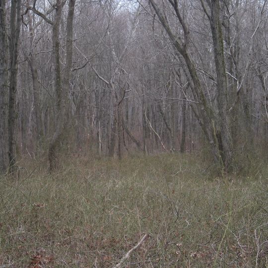 Pigeon Swamp State Park