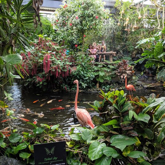 Victoria Butterfly Gardens