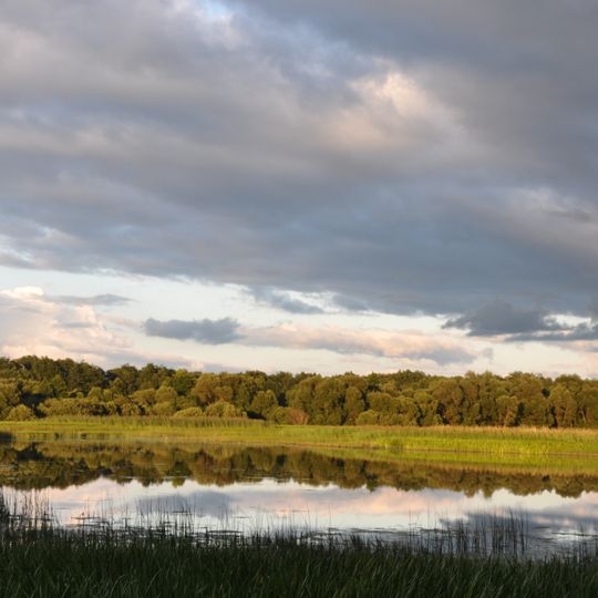 Daugava near Kaibala
