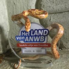 Zoo Bizar